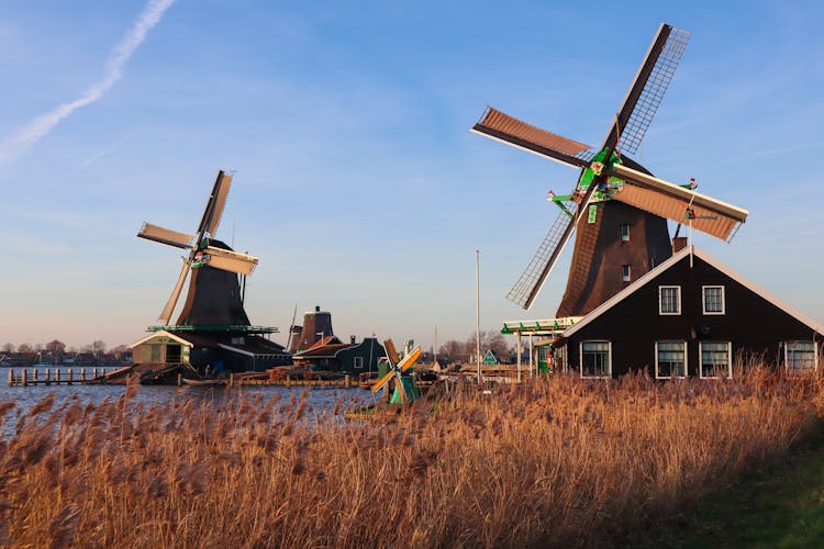 Windmills In Holland 