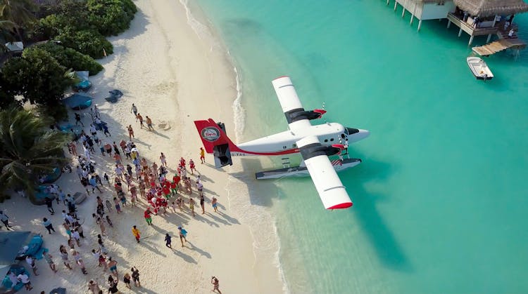 Group Of People Near Airplane