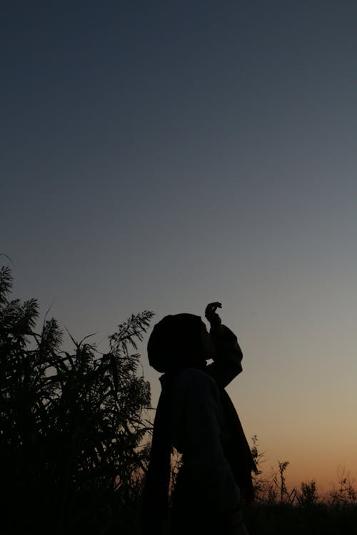 Side view of anonymous female standing in grassy countryside and dreaming while looking up at sky in sundown