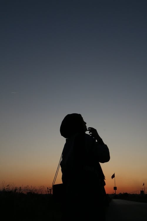 Side view silhouette of anonymous person admiring picturesque view of cloudless sky in twilight