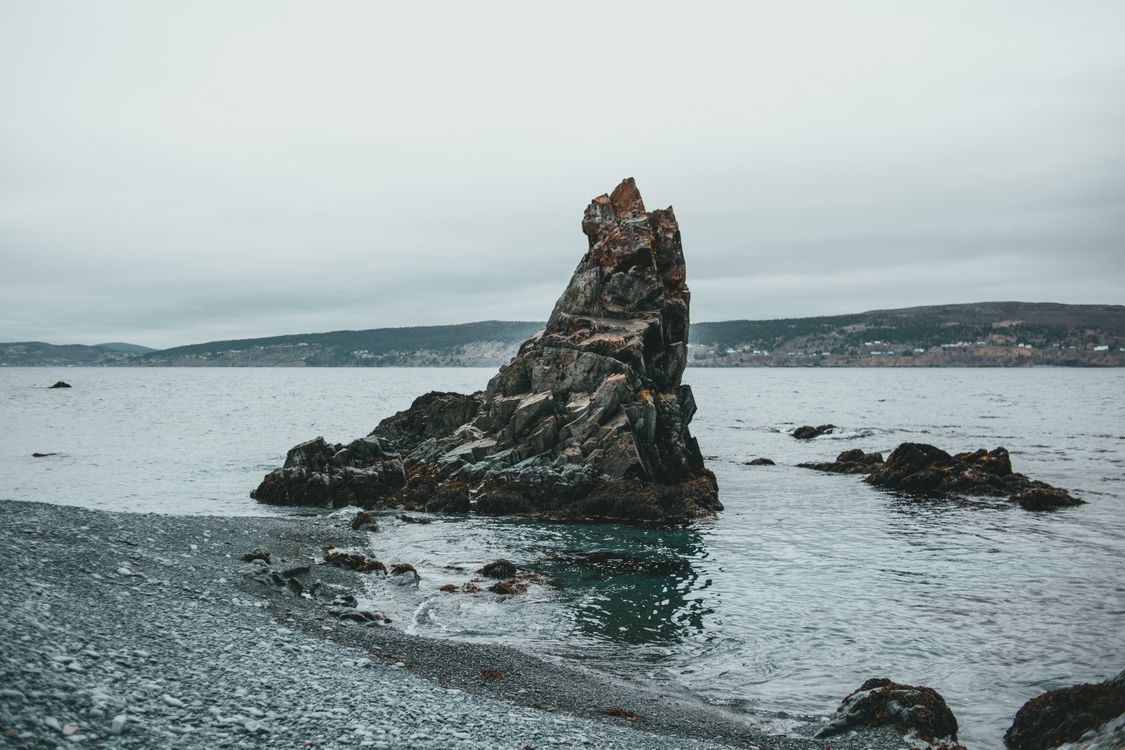 Rocks on the Beach · Free Stock Photo