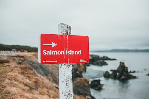 Photos gratuites de île aux saumons, itinéraire, panneau de signalisation