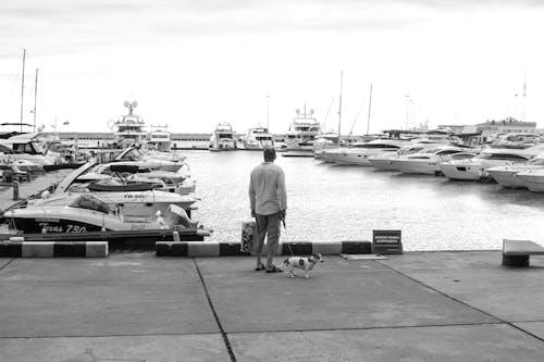 Man Standing On A Concrete Dock Near Body Of Water