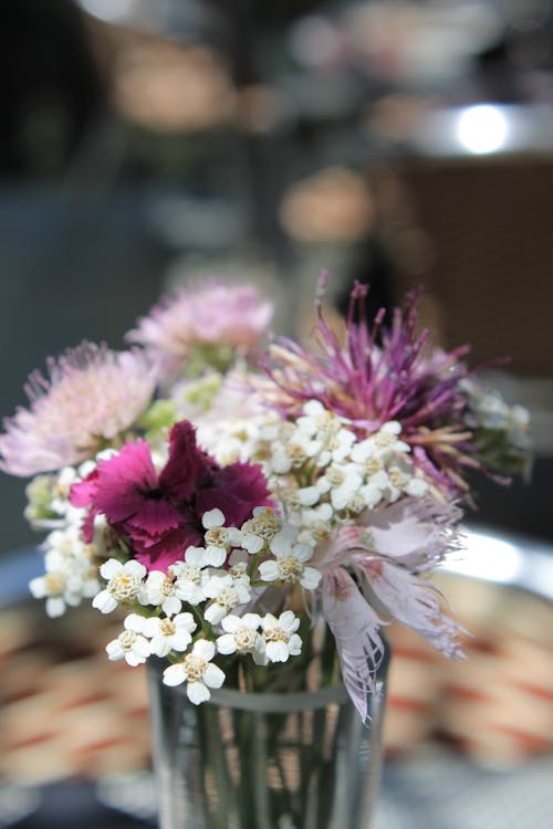 Free Close-up Photo of Bouquet  Stock Photo