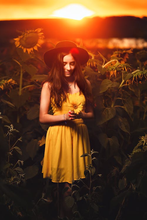 A Pretty Woman in Yellow Dress Standing on the Field of Sunflowers during Sunset