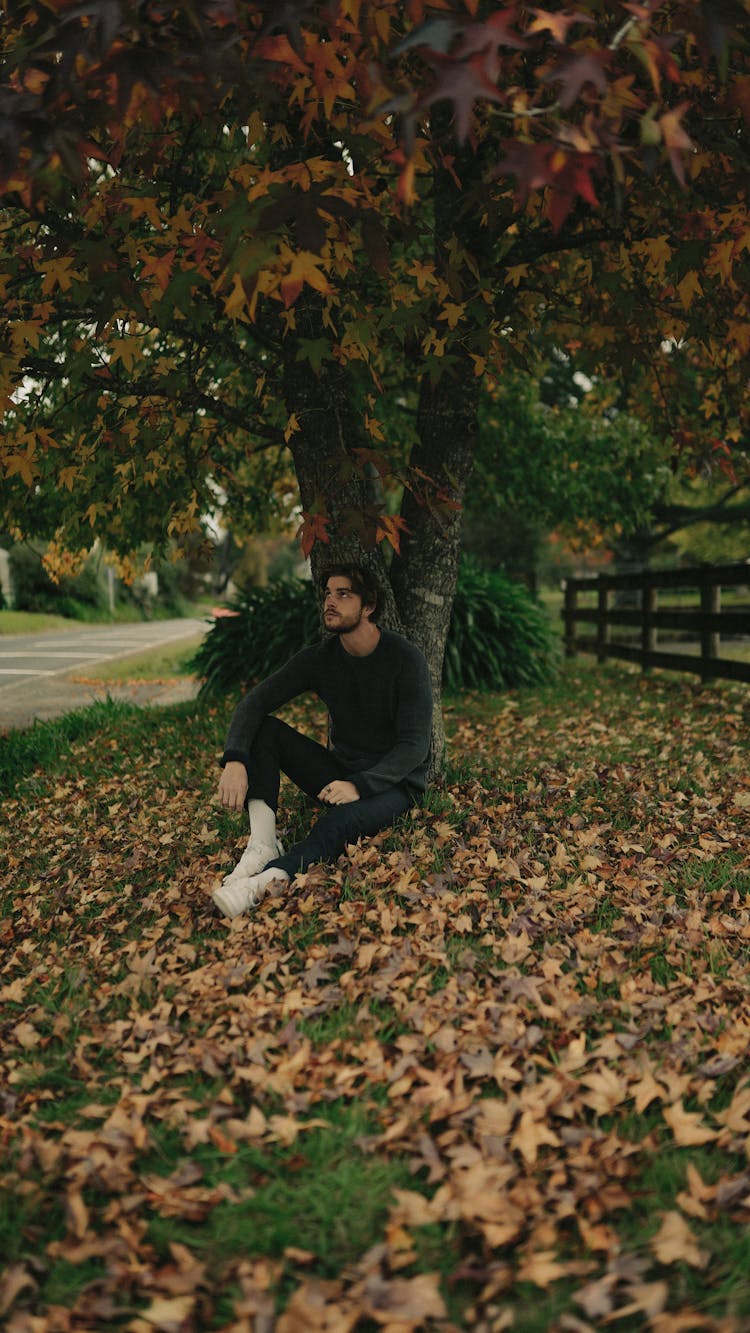 Man In Black Sweater Sitting Under The Tree 