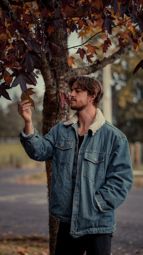 Безкоштовне стокове фото на тему «волосся на обличчі, дерево, джинсова куртка»