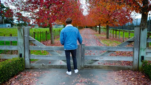 Back View of a Man in a Denim Jacket Standing by a Wooden Gate