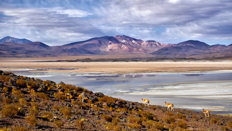 Landscape Photography Of The Atacama Desert