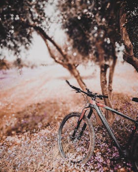 A mountain bike leaning against a tree in a vibrant, flowering field, showcasing nature and adventure.