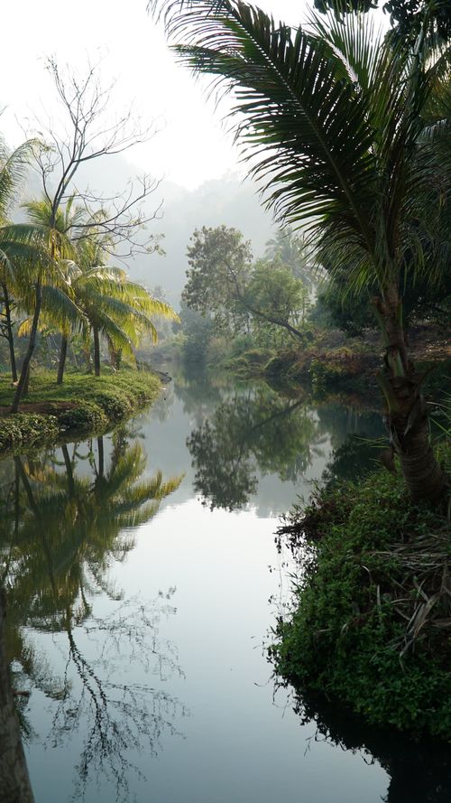 Free Peaceful river scene with lush greenery in West Java, Indonesia. Stock Photo