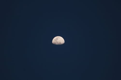 Free A detailed close-up of a half moon against a dark night sky, ideal for astronomy themes. Stock Photo