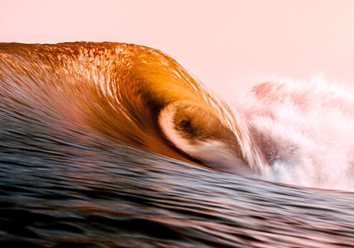 Photo by Jimmy  Bolt