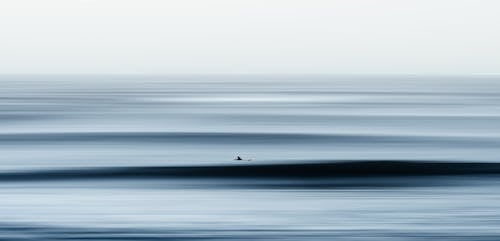 Foto profissional grátis de esporte aquático, horizonte, mar