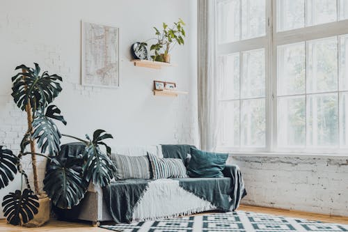 Foto d'estoc gratuïta de interior, modern, Monstera