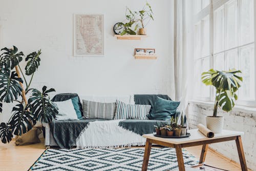 Indoor Plants inside the Living Room