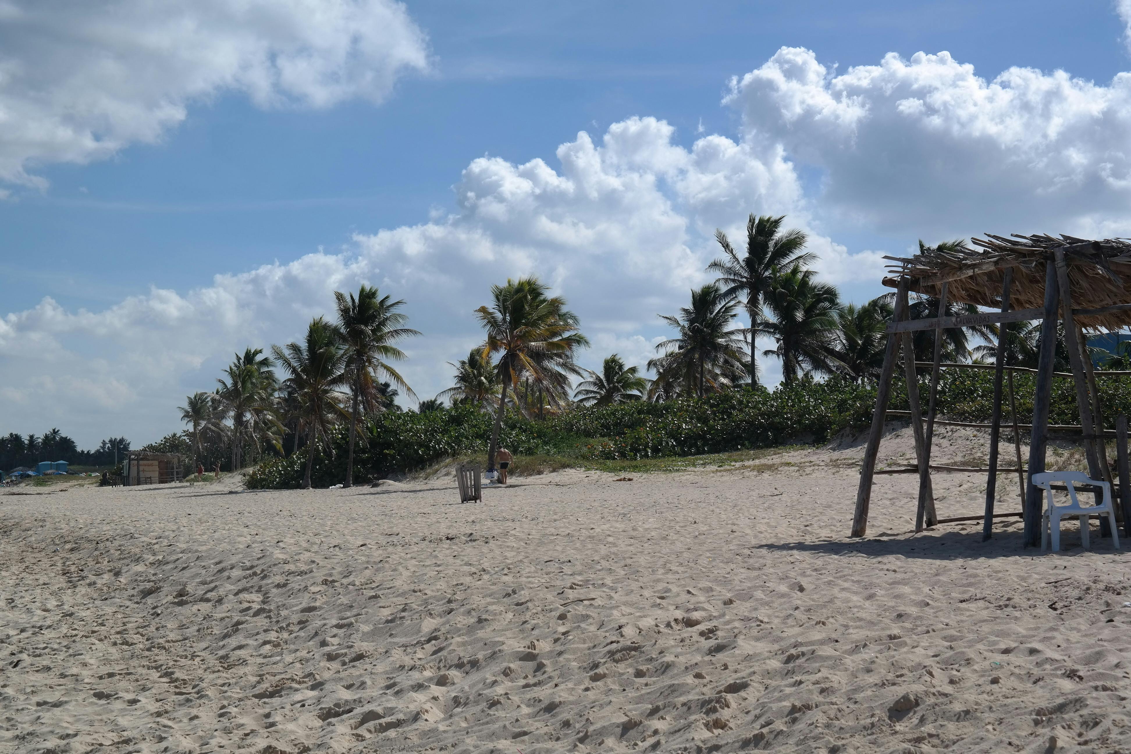 Photo Gratuite De Cuba Palmiers Plage