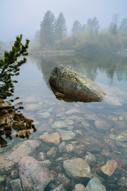 Mossy Rock on Lake