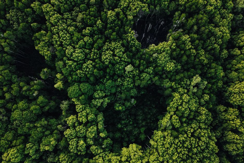 Tech Giants Collaborate on OpenAI-Driven Eco-Sustainability Initiative