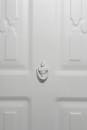 White Knocker on White Door