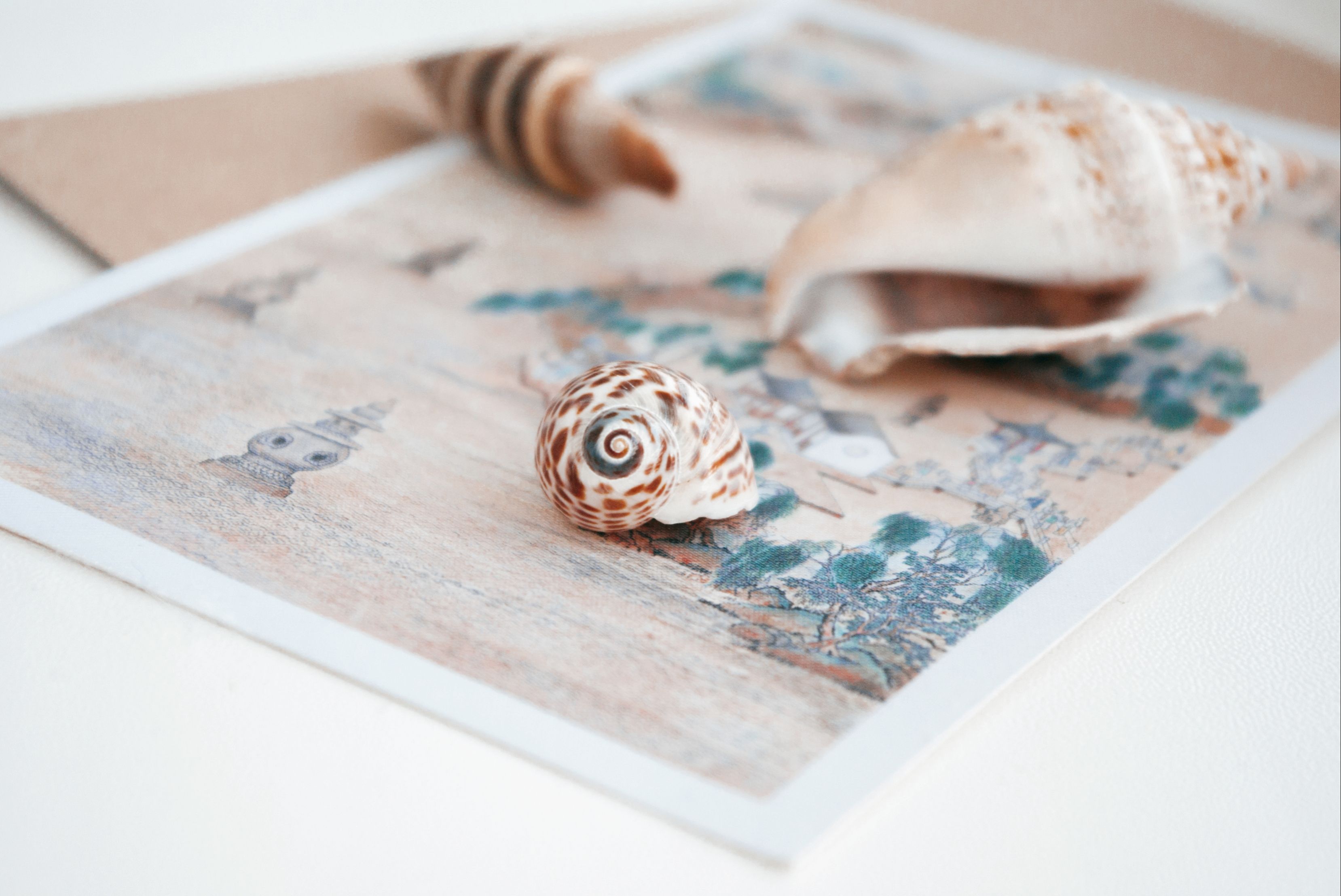 Close-up of seashells arranged on a scenic painting evokes coastal memories.