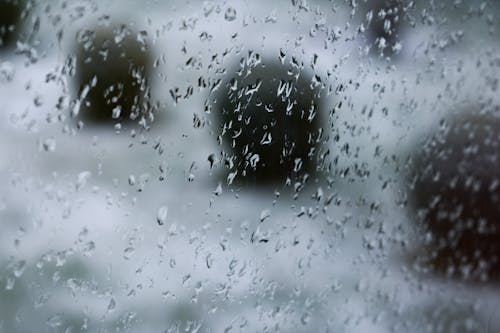 Fotografía De Enfoque Superficial De Gotas De Lluvia