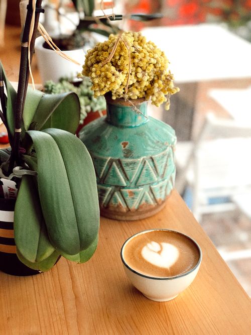 Free A cozy scene featuring a coffee cup with latte art and decorative plants indoors. Stock Photo