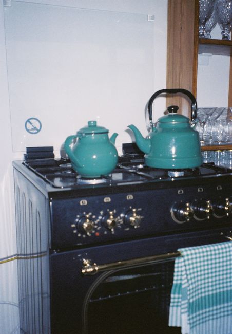 Exploring the Versatility of Gas Burner Ovens