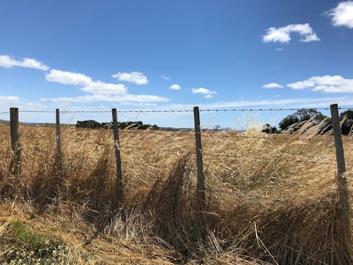 Free stock photo of farm fence