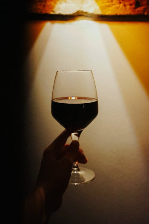 Close-Up Photo of a Person's Hand Holding a Glass of Wine