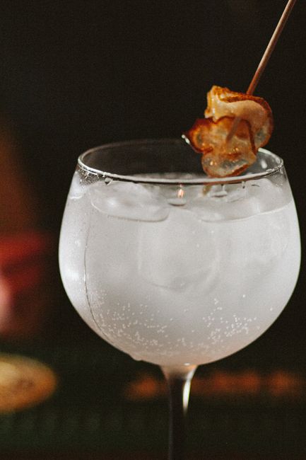 A tall glass of gin and tonic with visible carbonation bubbles, a lime wheel perched on the rim, and a lime wedge floating among the ice cubes.