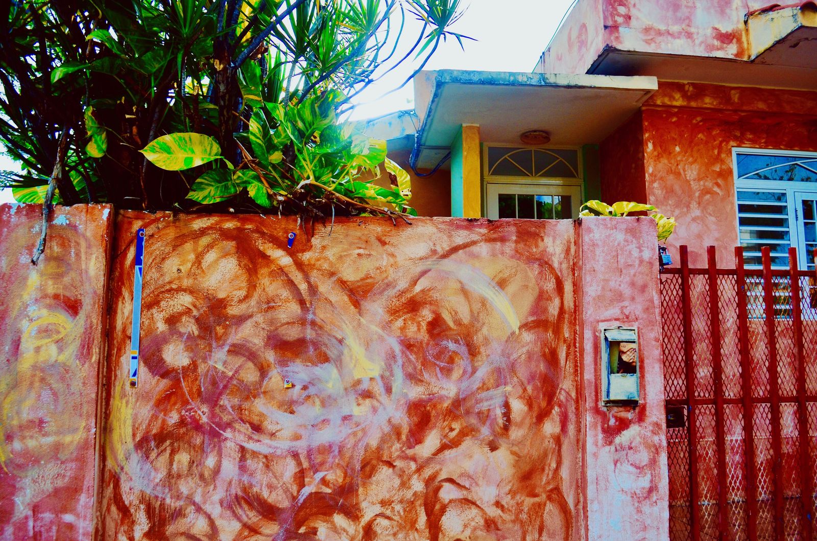 The Blue House