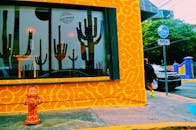 这张充满活力的街头照片展现了波多黎各圣胡安的彩色城市艺术