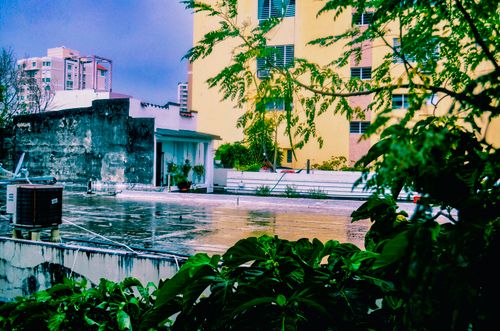 Free Scenic view of a rooftop garden with vibrant greenery in San Juan, Puerto Rico. Stock Photo