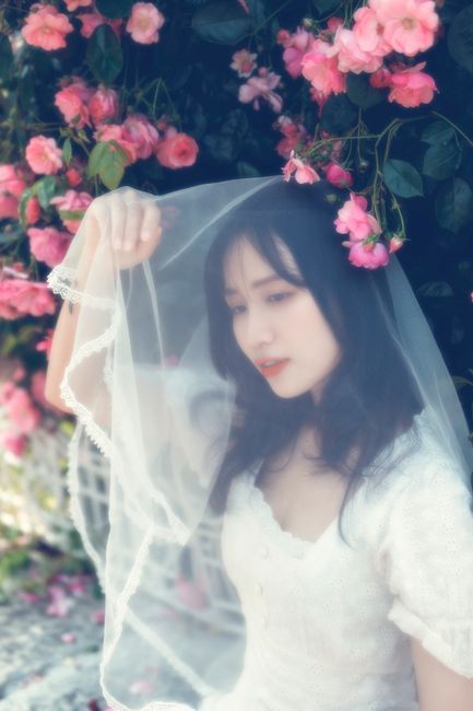 A woman in a white dress and veil stands gracefully among blooming pink roses, creating a romantic atmosphere.