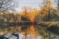 宁静的秋景中，树木倒映在平静的湖面上，展现出季节的美丽与静谧