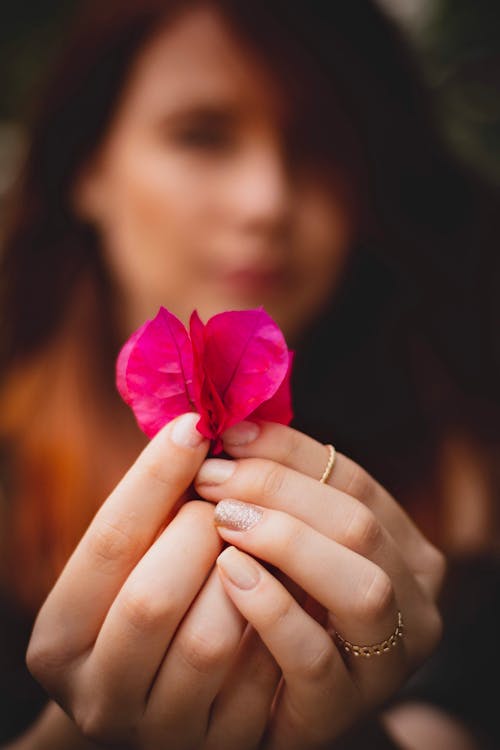 A Person Holding Flower Petals