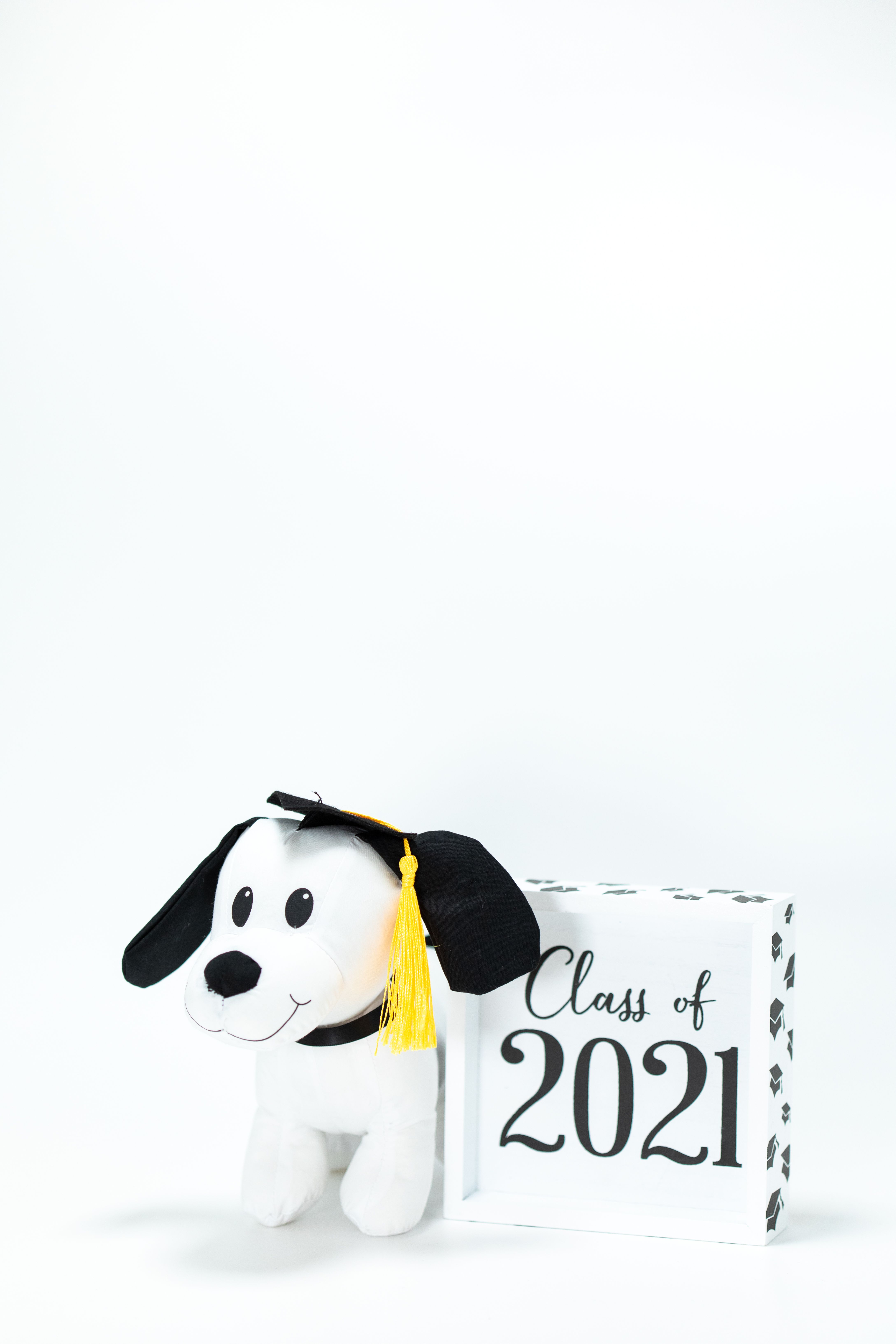 Who won dog Thanksgiving 2021?