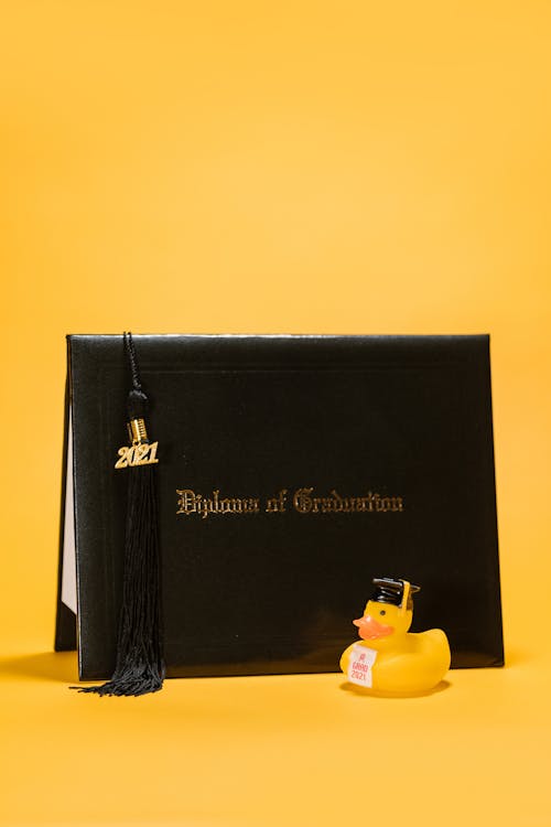 Free Black Graduation Diploma Beside Rubber Duck Stock Photo