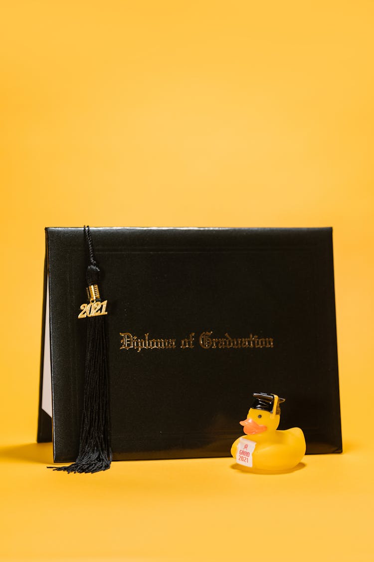 Black Graduation Diploma Beside Rubber Duck