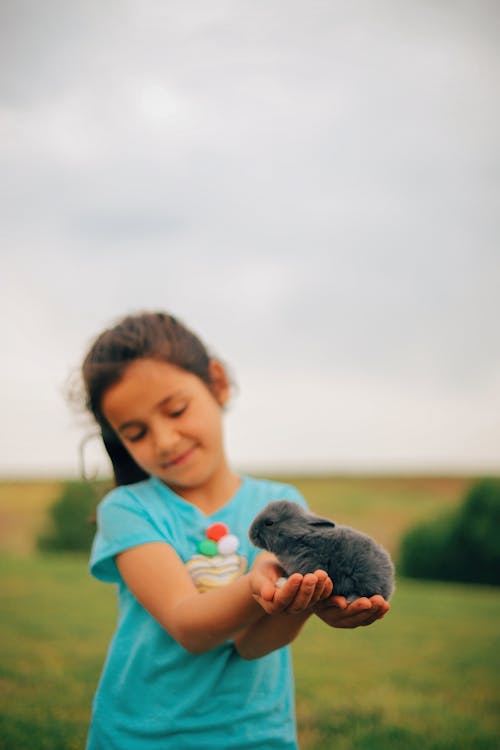 Free Cute little rabbit with gray fur on hands of blurred girl in green field Stock Photo