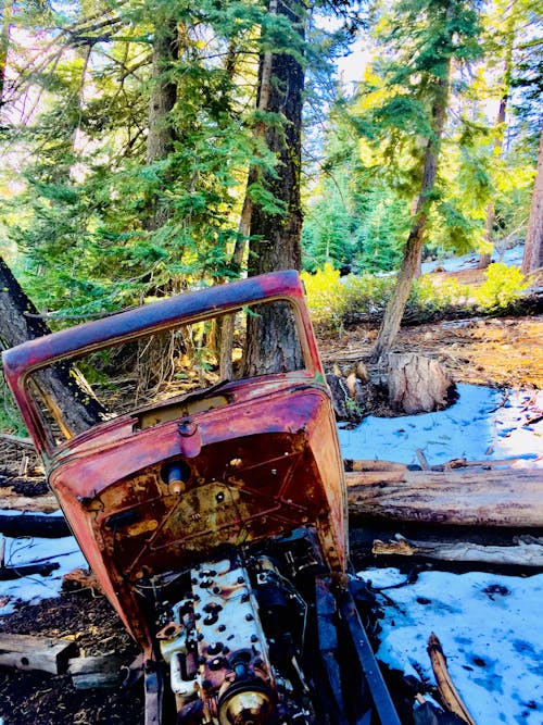 Free stock photo of old ford in the forest, sierra nevada mountains