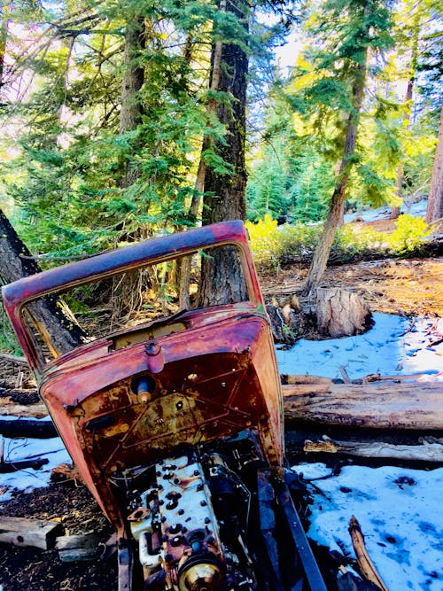 Foto d'estoc gratuïta de sierra nevada, vell ford al bosc