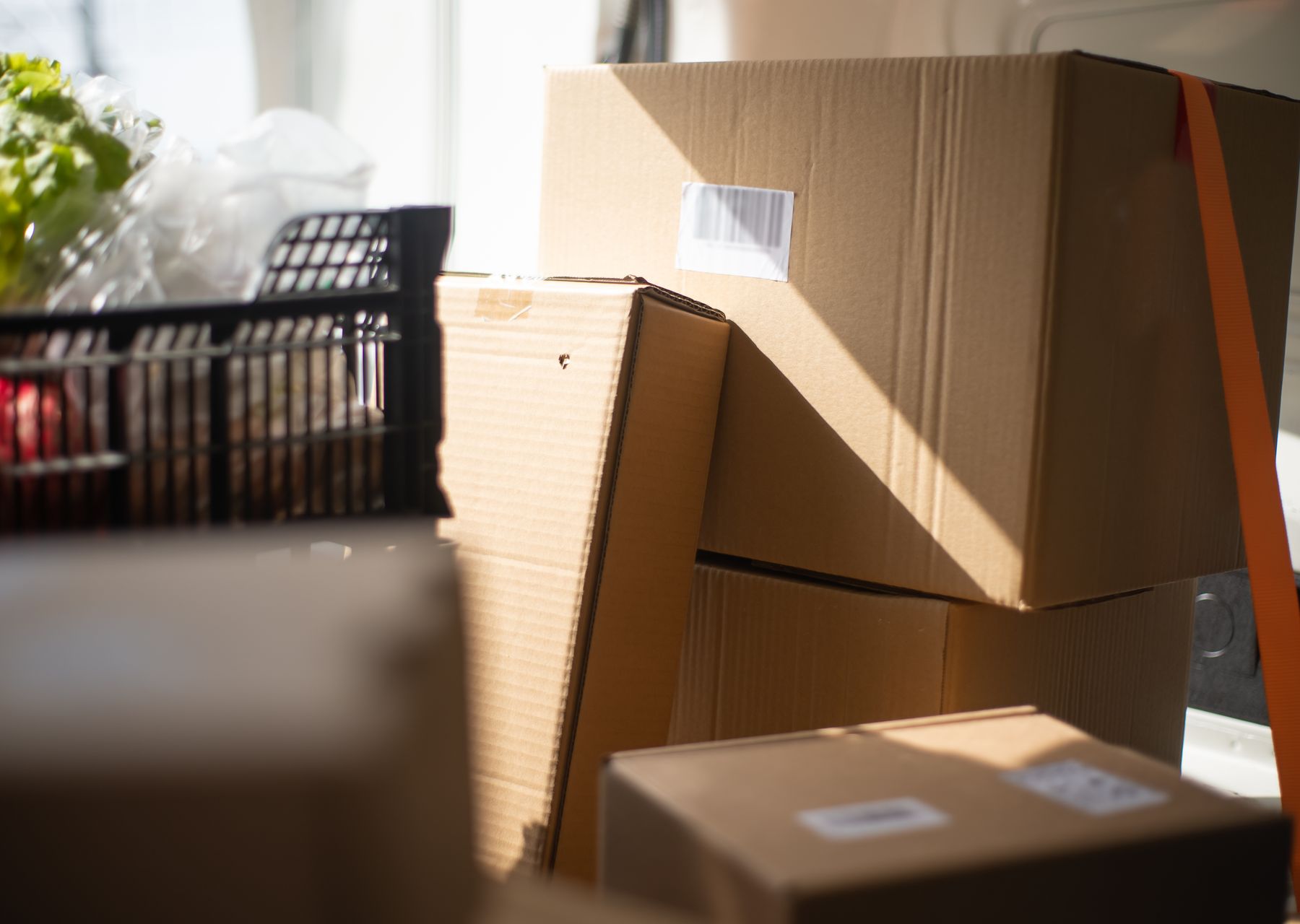 Professional removals crew at work — storage & moves to storage Felling