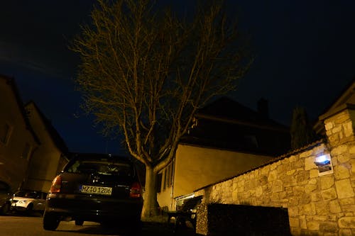 Free stock photo of night, nightscape, tree