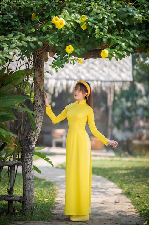 Imagine de stoc gratuită din ao dai, femeie vietnameză, flori galbene de clopot