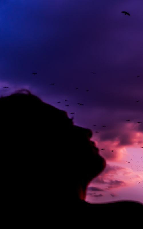 Free Silhouette of a person gazing at vibrant twilight sky with scattered birds, creating a serene and introspective scene. Stock Photo