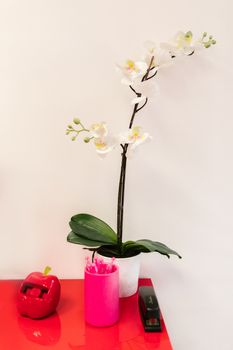 A white orchid in a pot on a modern red desk, creating a delicate and minimalistic office decor.