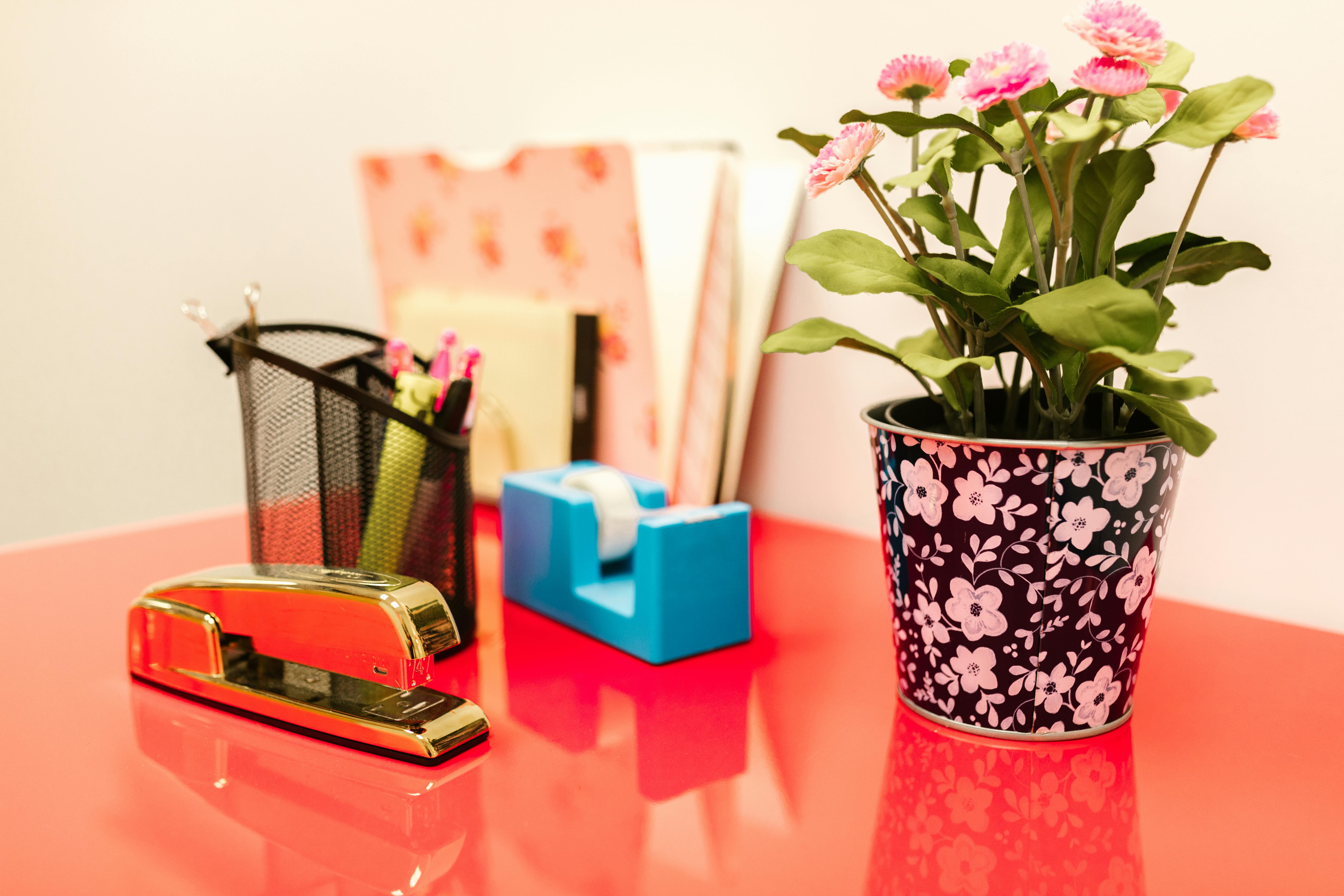 office supplies and a potted plant on the desk