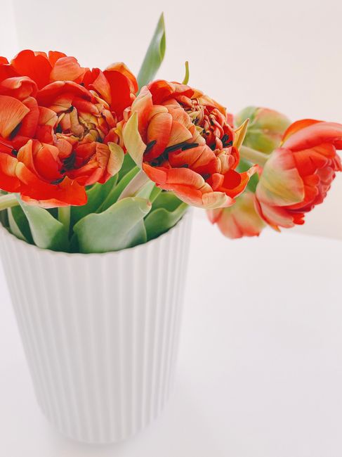 Bright red tulips in a white vase, offering a beautiful display of floral elegance.
